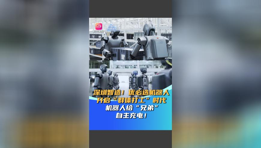 宠物很乖原来是智商问题,天下彩9944CC图文资讯,广泛的解释落实支持计划_升级版V7.19